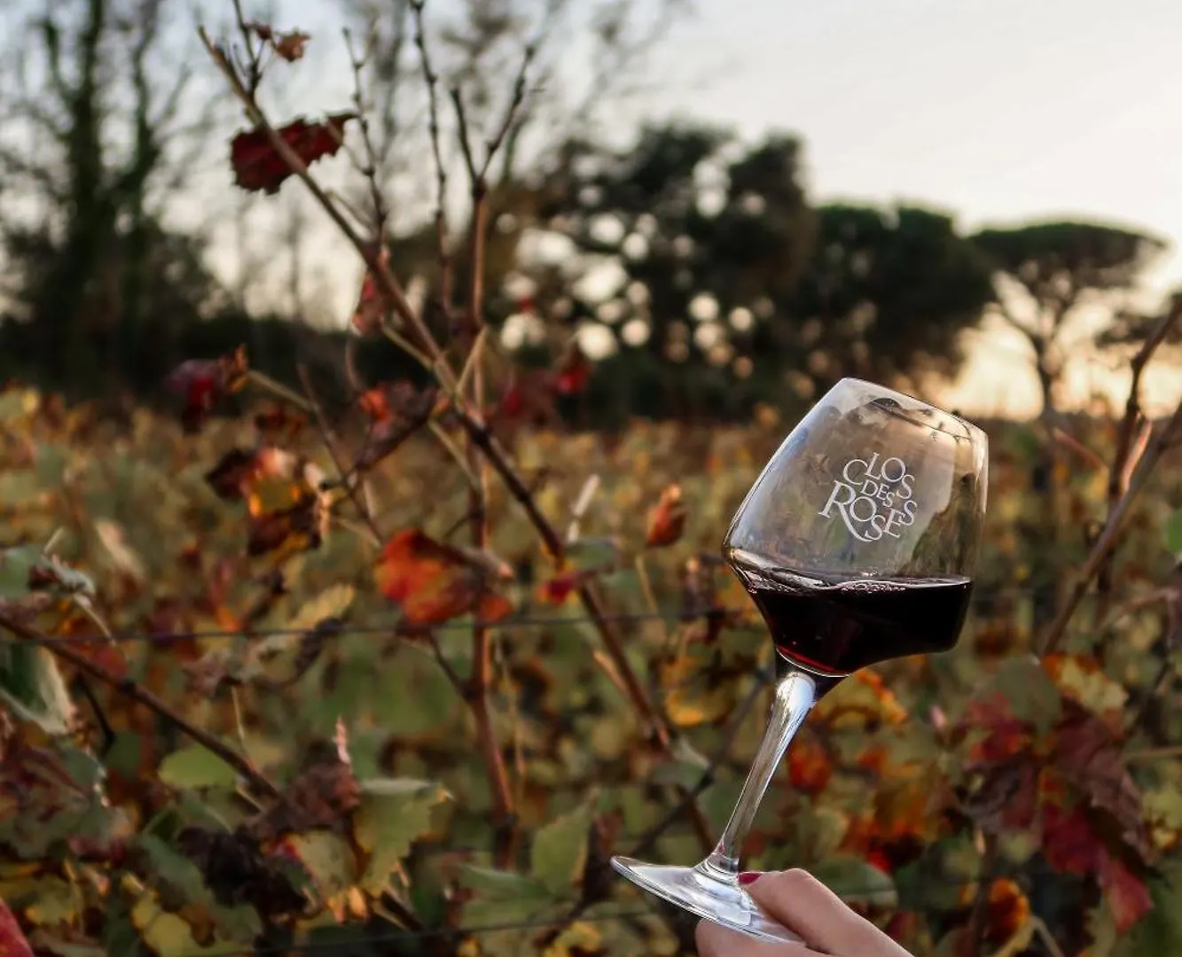 La Bastide Du Clos Des Roses - Teritoria Fréjus França