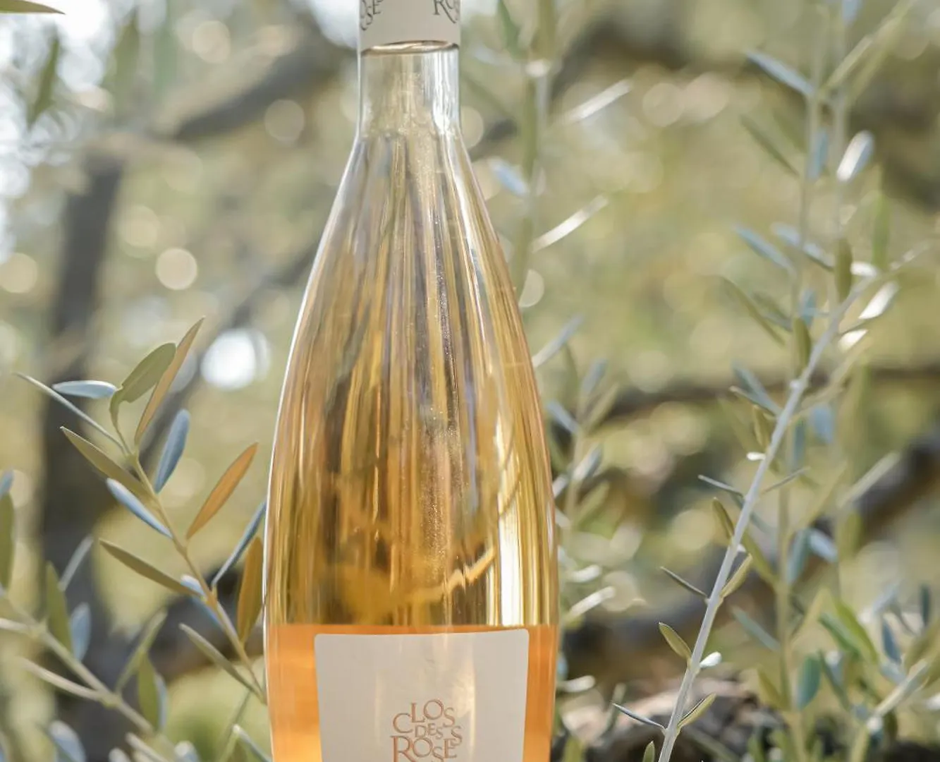 La Bastide Du Clos Des Roses - Teritoria Fréjus